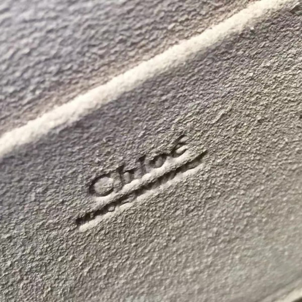 Ch10e leather nile z1339 19.5cm x 6.5cm x 16cm