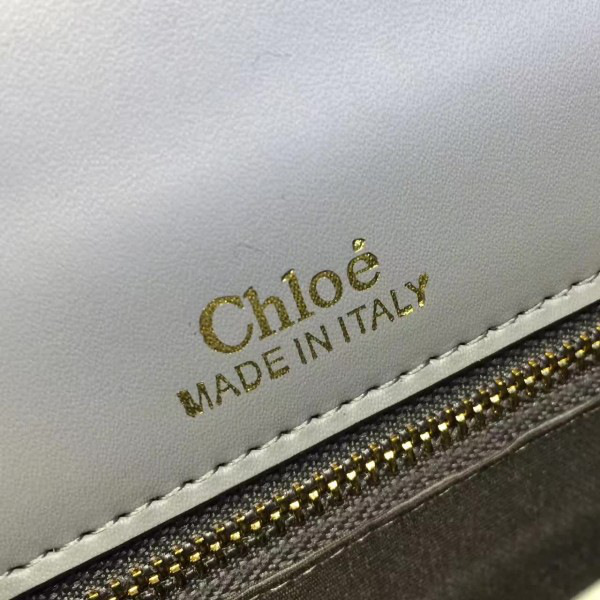 Ch10e leather nile z1351 19.5cm x 6.5cm x 16cm
