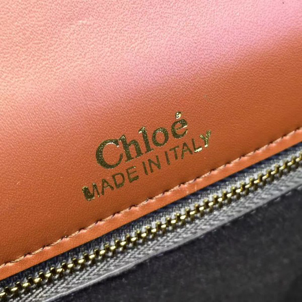 Ch10e leather nile z1347 19.5cm x 6.5cm x 16cm