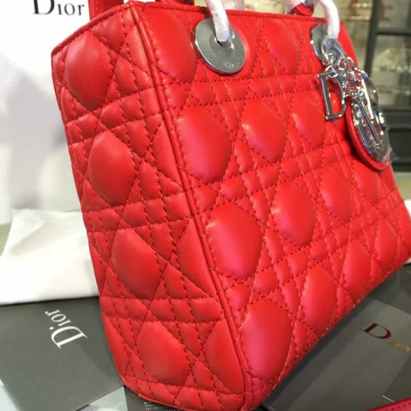 lady D10r 1629 20cm
