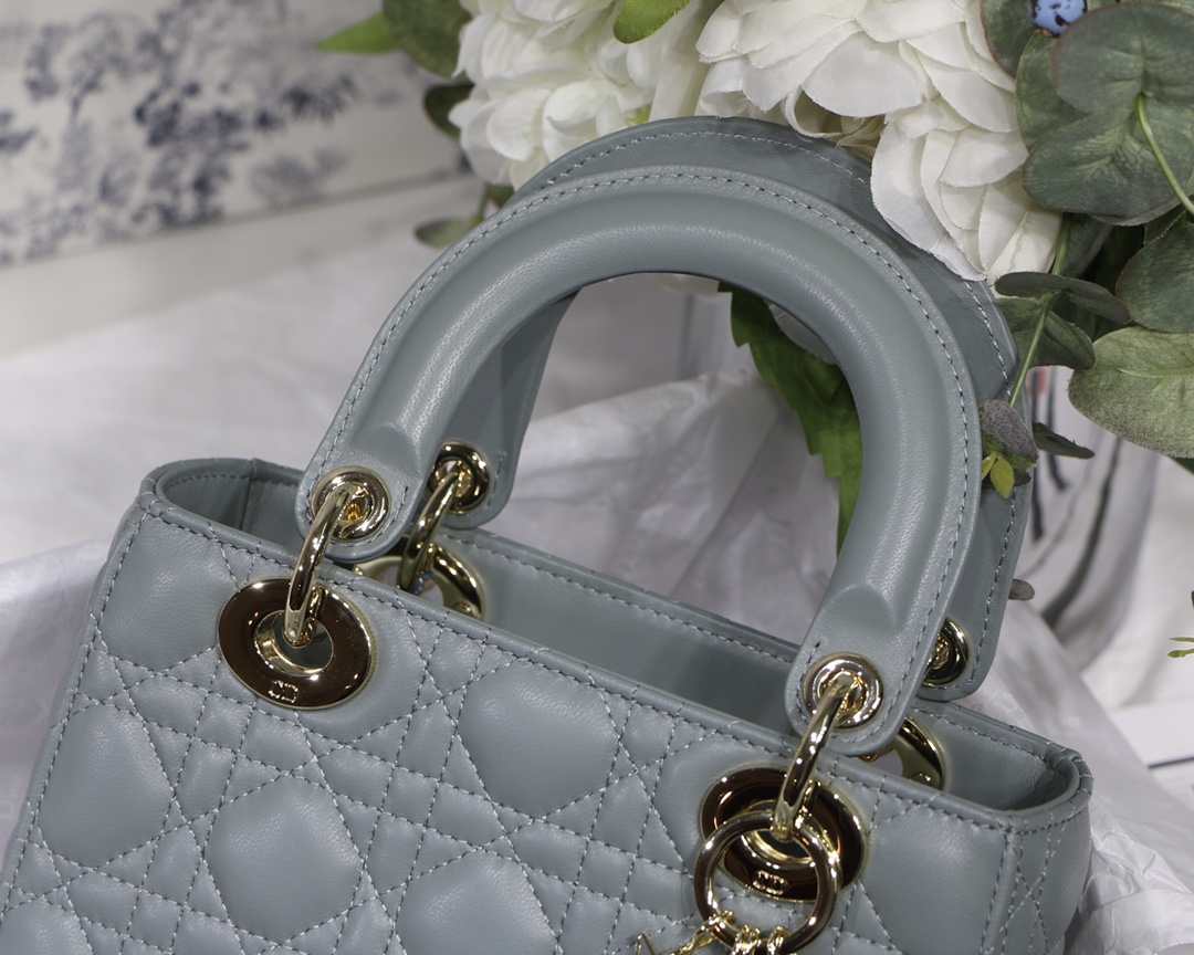 D10r lady D10r my abcD10r bag gray m0538 20cm