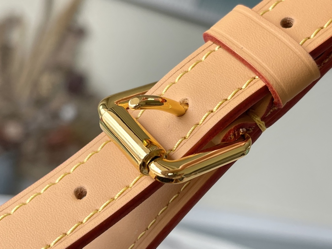 LV backbag M95057